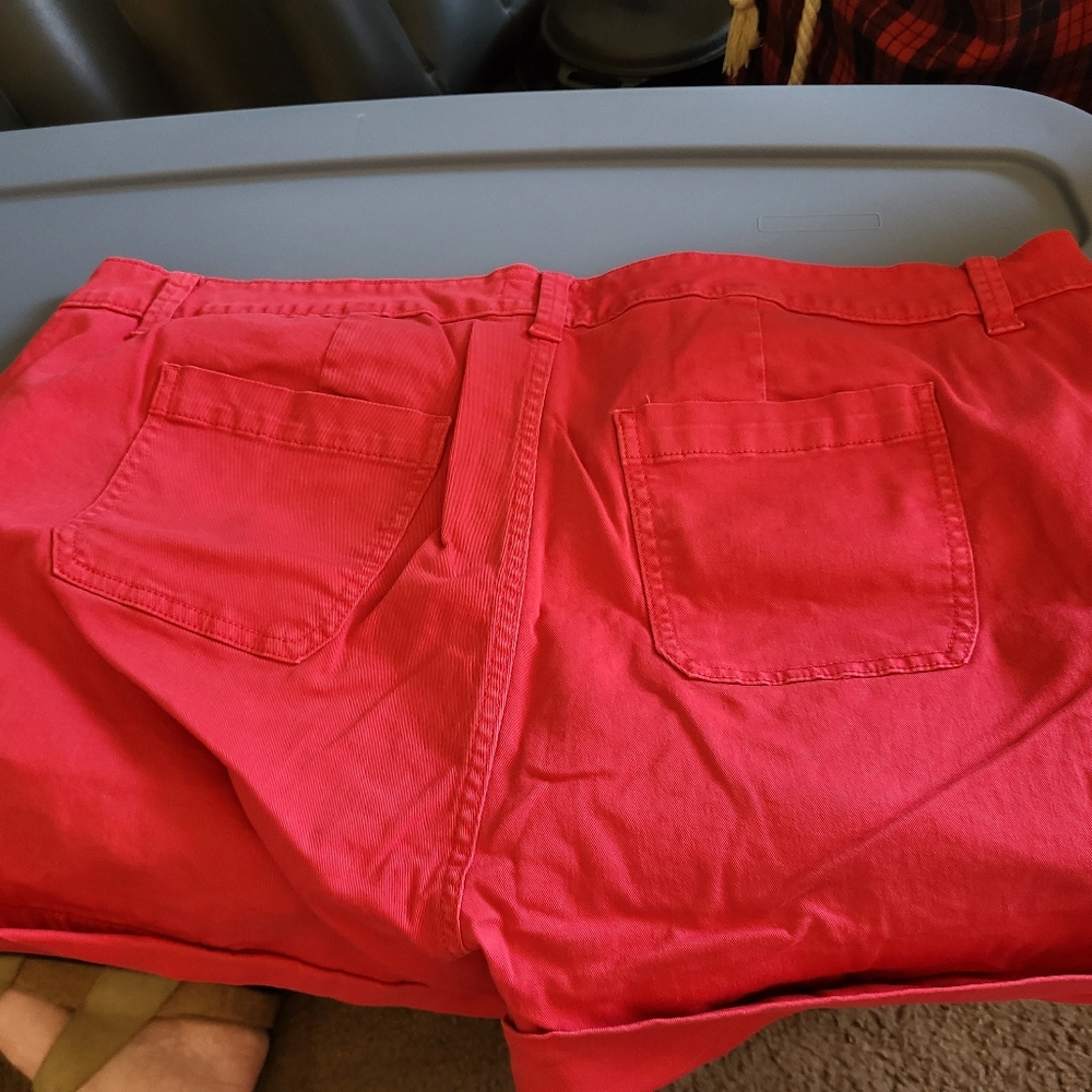 Torrid shorts